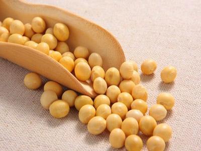 气相色谱方法定量检测大豆中5种脂肪酸