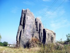 泰特仪器公司2016烧烤活动圆满举行